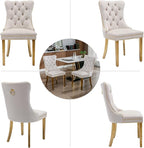Beige Velvet Dining Chairs Set of 6, Upholstered Dining Room Chairs with Back Ring Pull Trim and Golden Stainless Steel Legs,Modern Kitchen Chairs for Dining Room,Living Room,Kitchen(Beige)