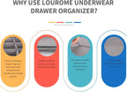 Lourome Underwear Drawer Organizer, 10-Pack, for Socks, Bras, Tie, Grey | Fits Standard 13"+ Dressers, 110 Compartments, Storage Bins for Bedroom, Closet & Bathroom