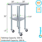 AmGood 20" Long x 20" Deep Stainless Steel Table with Casters