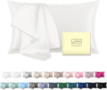 Mulberry Silk Pillow Cases Standard Size Silk Pillowcase with Zipper Soft Breathable Smooth Cooling Satin Silk Pillow Covers for Sleeping for Hair and Skin (Ivory,20"X 26",1Pcs)