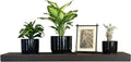 joelsantiques 36 Inch Wooden Floating Shelves for Wall - 36x8x2 in - Made of Natural Wood - Heavy Duty Rustic Wall Shelves - Made in USA - Perfect for Living Room, Kitchen - Mocha