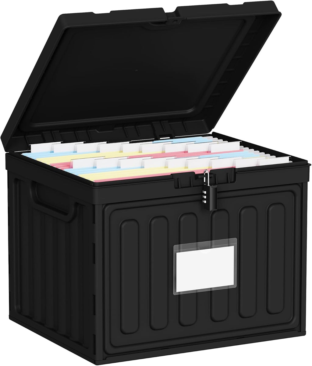 Oterri Plastic File Box with Lid for Letter Size File Folders, Hanging File Folder Box, File Organizer for File Cabinet, Home, Office,School(Black, Large1 Pack Without Folders)