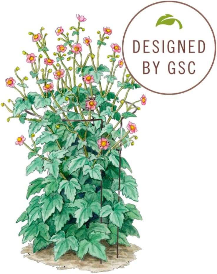 Gardener's Supply Company Jardin Half Round Plant Supports -18" x 35...