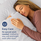 Queen Pillow Cases - 4 Pack - Super Soft Pillowcase Covers - Envelope Enclosure - Hotel Quality Pillow Protectors - Wrinkle Free, Shrink & Stain Resistant - Machine Washable - 20" x 30" (French Grey)