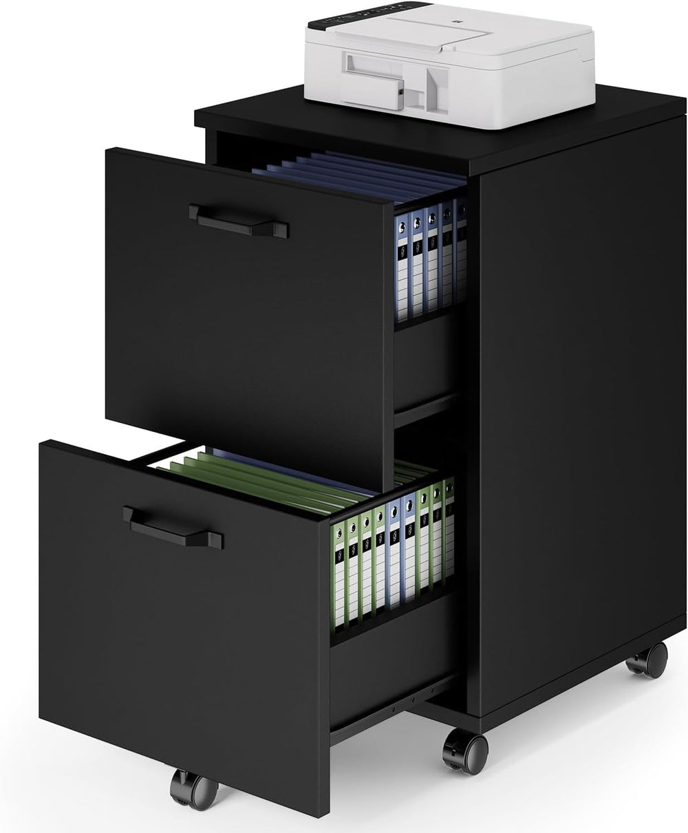 DUMOS 2 Drawer Filing Cabinet, Rolling Wood File Cabinet for Home Office, Und...