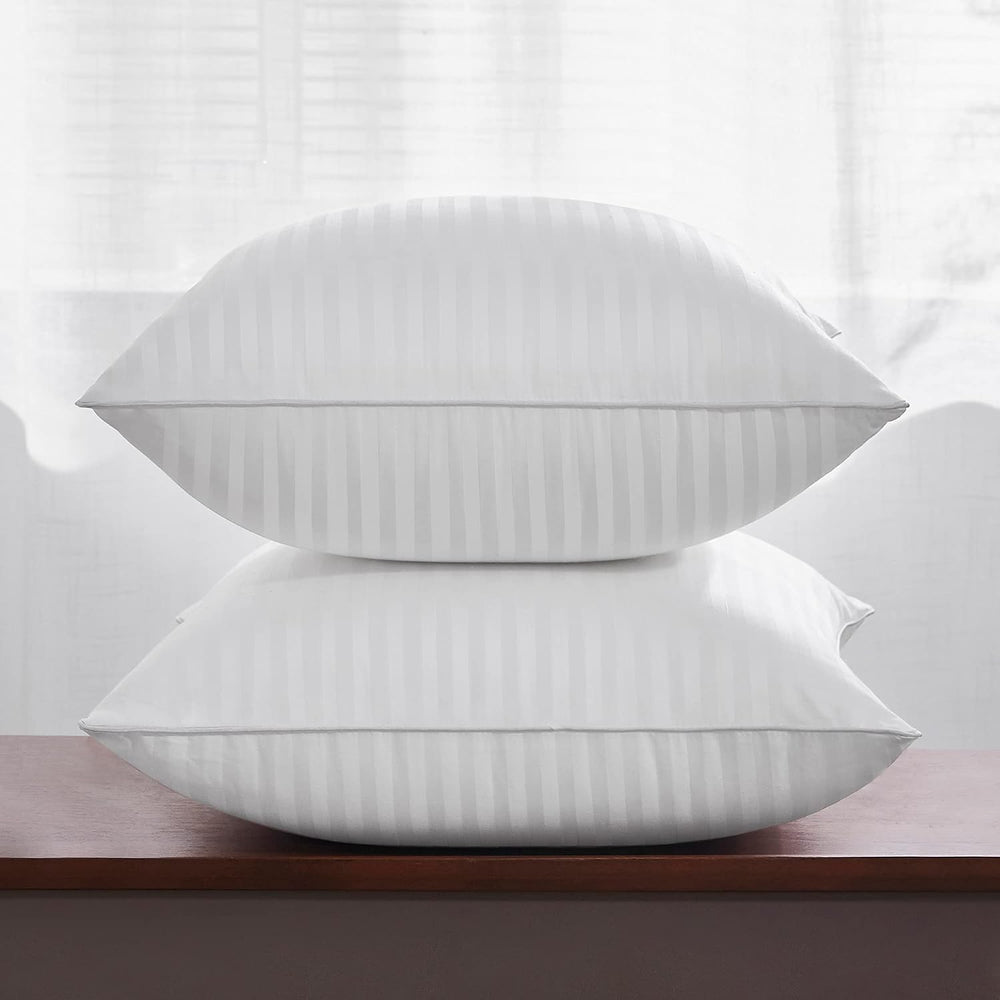 Oubonun 20 x 20 Throw Pillow Inserts Set of 2