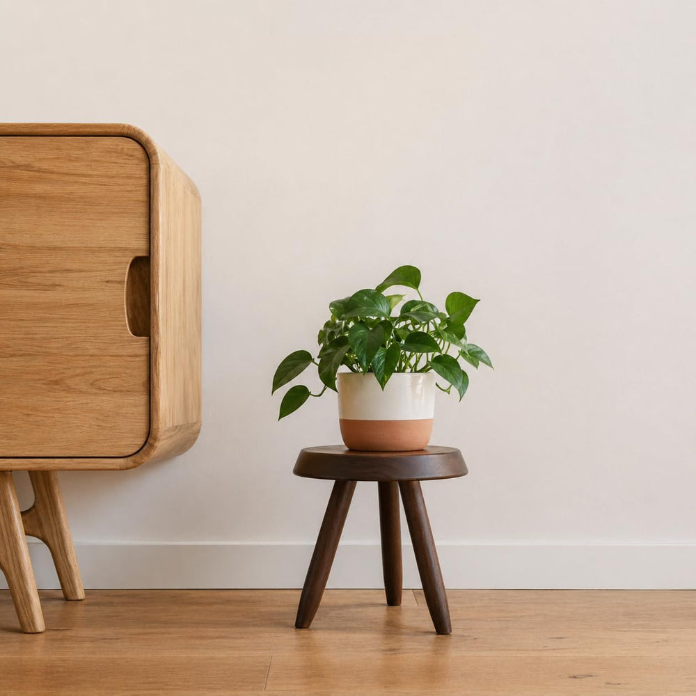 Tabouret Walnut Stool – Handcrafted Hardwood Seating Inspired by Charlotte Pe...