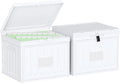 Oterri Plastic File Box with Lid for Letter Size File Folders, Hanging File Folder Box Collapsible File Organizer, File Cabinet Document Organization Home, Office (White, Large-2 Pack Without Folders)
