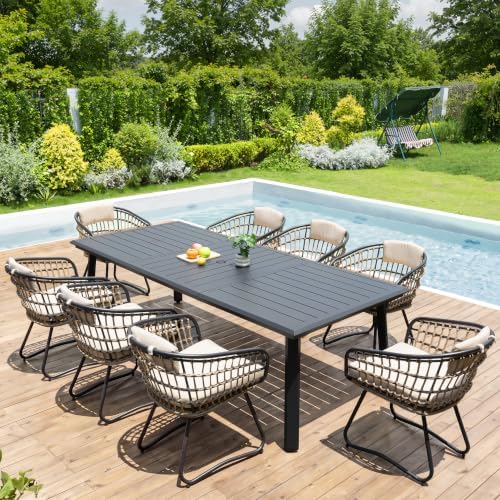 Pellebant 9 Piece Outdoor Dining Set for 8, Aluminum Table & Wicker Chairs