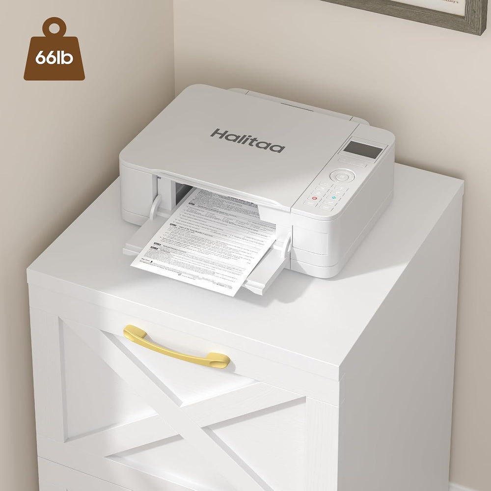 Halitaa Farmhouse 2 Drawer Small File Cabinet with Wheels, White | Vertical F...