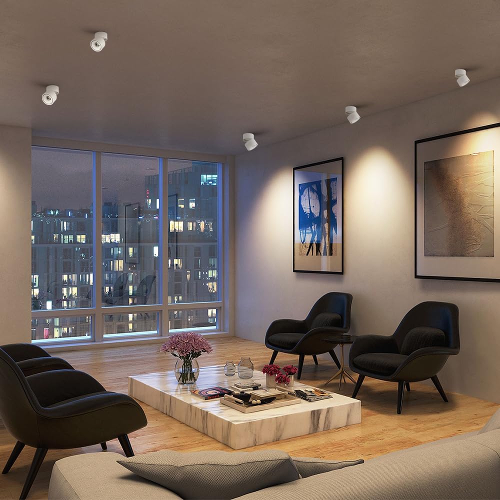 LED Ceiling Spotlight Indoor Directional Lighting Ceiling Light