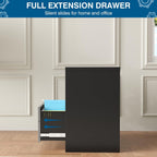 2 Drawer File Cabinet, Lateral Filing Cabinets for Home Office, Office Storage Drawers with Lock, Hanging Files Legal/Letter A4 Size (Assemble Required,Black Grey)