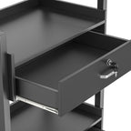 Paddie Salon Trolley Cart, Salon Tray Wooden Mobile Utility Cabinet with 2 Lockable Drawers, Rolling Storage Station Medical Esthetic Supply Holder for Beauty Spa (2 Drawers, Black)