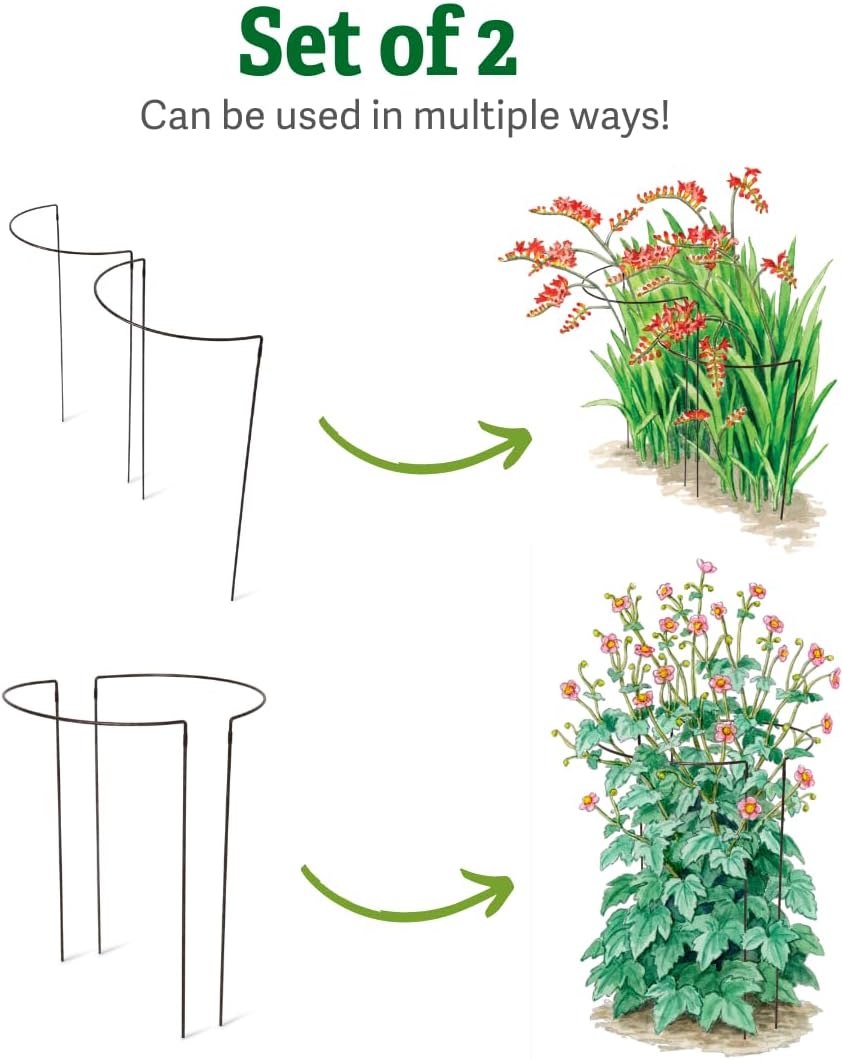 Gardener's Supply Company Jardin Half Round Plant Supports -18" x 35...