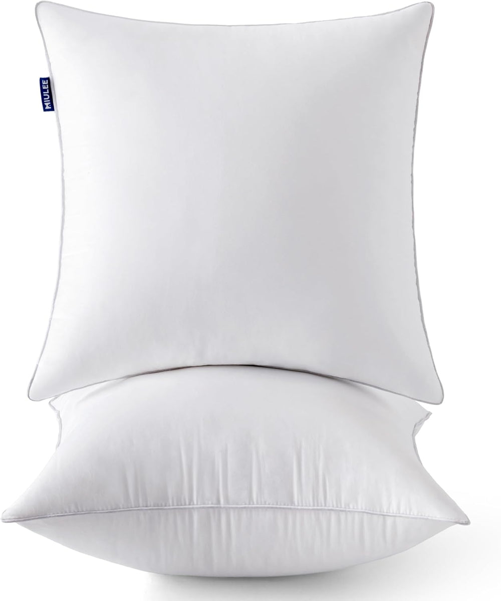 MIULEE 22 x 22 Pillow Inserts (Set of 2) -Decorative Throw Pillows for Sofa C...