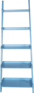 5 Tier Ladder Shelf