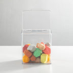 mDesign Kids Plastic Stackable Toy Storage Organizer Box Container with Hinged Lid for Storing Action Figures, Crayons, Building Blocks, Puzzles, Wood Construction Sets, Cars, 2 Pack - Clear