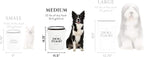 Harry Barker Pet Food Storage Collection, Bon Chien Food Storage - Medium