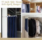 Blulu 2 Pcs 13.8'' Sliding Tie Rack Hangers for Closet, 25(Total 50) Tie Pull Out Wall Mounted Extending Sturdy Metal Belt Organizer Holder for Men Belt Storage, Sliver