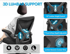 Ergonomic Office Chair with Lumbar Support - Adjustable Computer Desk Chairs for Home Office, Gaming, and Work - Comfortable and Supportive Desk Chairs for Adults (Black)
