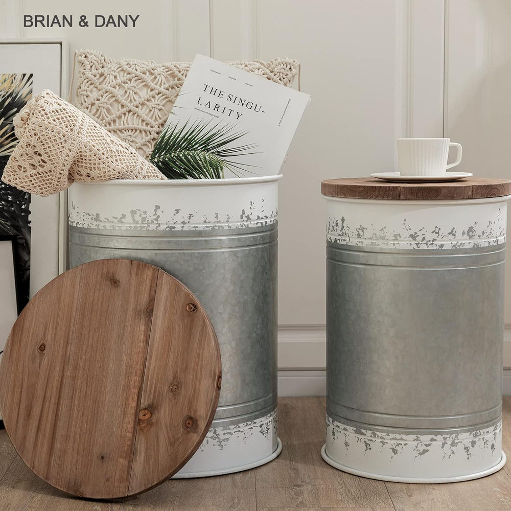 BRIAN & DANY 2 Pack Farmhouse Accent Side Table, Rustic Storage Ottoman S...