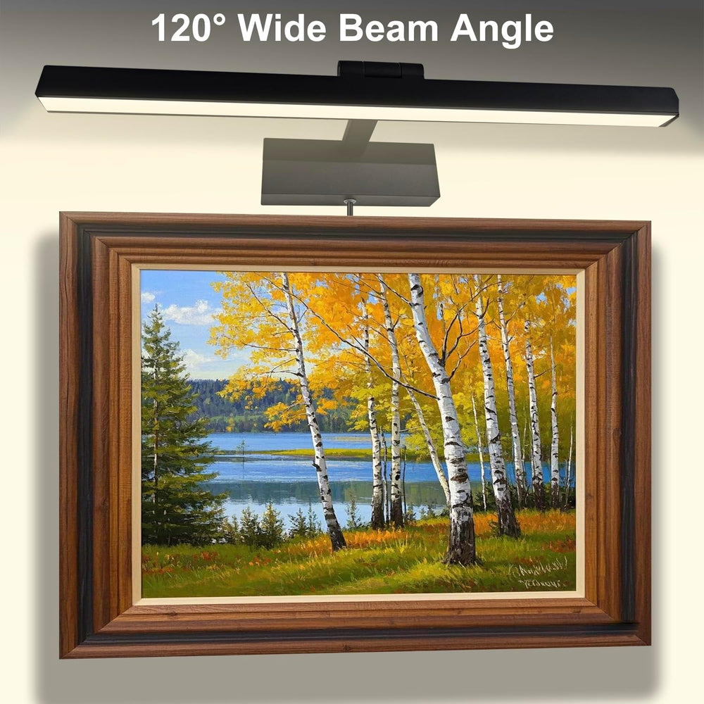 Picture Light for Paintings Plug in, 2700K Warm White Picture Lights, 16&quot...