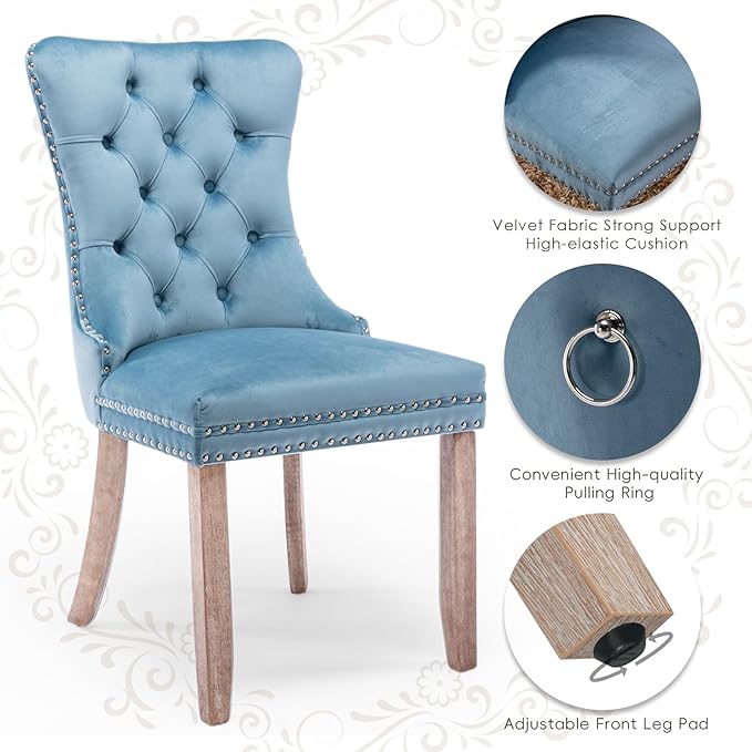 Velvet Upholstered Dining Chairs Set of 2, Modern Style Kitchen Side Chairs with Nailhead Trim and Wood Legs,Metal Pulling Ring for Dining Room Living Room(Sky Blue,Set of 2)