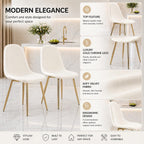 Velvet Dining Chairs with Gold Chrome Legs, Modern Ergonomic Design, Set of 2 (2, Cream White)