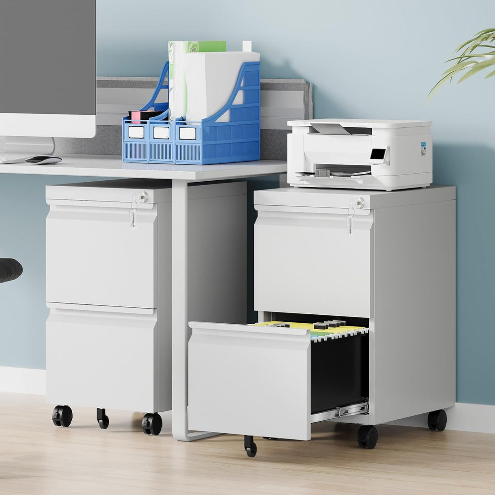 2 Drawer Mobile File Cabinet, Fully Assembled File Cabinets with Lock, Metal ...