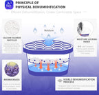 Vacplus Moisture Absorbers 6 Pack, 10.5 Oz Portable Humidity Absorber Boxes for Your Bathroom, Closet & Car, Dehumidifier with Lavender Fragrance, Purple