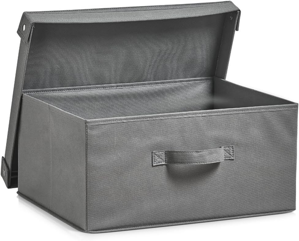 Zeller Foldable Storage Box with Lid, Grey