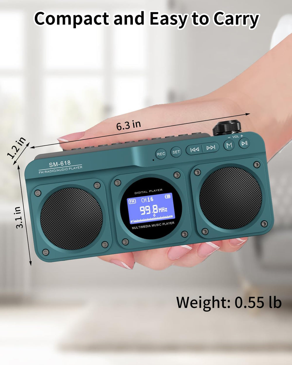 Small Digital FM Radio Bluetooth Speaker, Support USB/SD Card