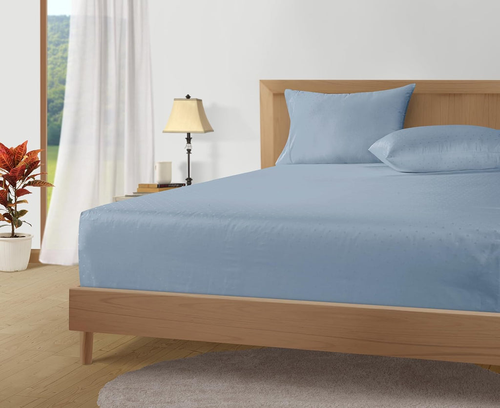 LANE LINEN Pillows Queen Size Set of 2, Soft 100% Egyptian Cotton, Cool & Smooth 1000 Thread Count Pillow Cases - Swiss Dot - French Blue