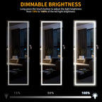 LVSOMT LED Mirror Jewelry Cabinet, Wall/Door Mount Jewelry Armoire Organizer with Lights, Full Length Mirror with Jewelry Storage, Over the Door Hanging Cabinet (Rustic Brown)