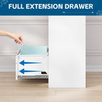 2-Drawer Metal File Cabinet, Lateral Vertical Filing Cabinets for Home Office, Locking File Cabinet with Storage Shelves, Legal/Letter/A4 Size (White, Assemble Required)
