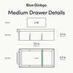 Blue Ginkgo Medium 16-Drawer Cabinet – Stackable Clear Organizer for Hardware, Beads, Plastic Bricks, Office, and Craft Storage (Made in Korea, Blue)
