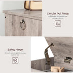 47.2" Toy Chest, Sturdy Entryway Storage Chest with Safety Hinges, Retro Toy Box, Wooden Look Accent Furniture for Living Room, Bedroom, Greige SCGY48801N1