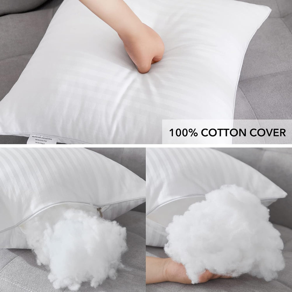 Oubonun 20 x 20 Throw Pillow Inserts Set of 2