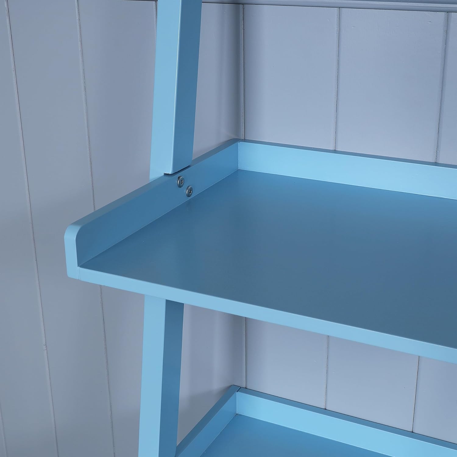 5 Tier Ladder Shelf