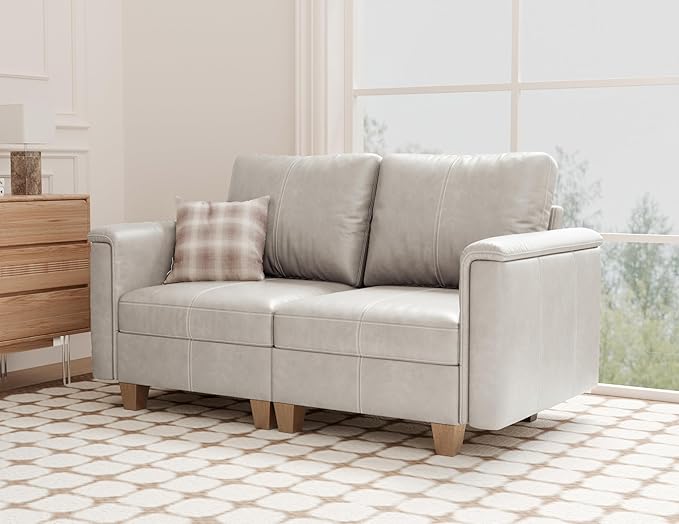 SITJOY 65" Faux Leather Modular Sectional Sofa with Storage, Mid Century Modern Sectional Couches for Living Room, Soft Padded Armrests, Loveseat Sofa, Greige