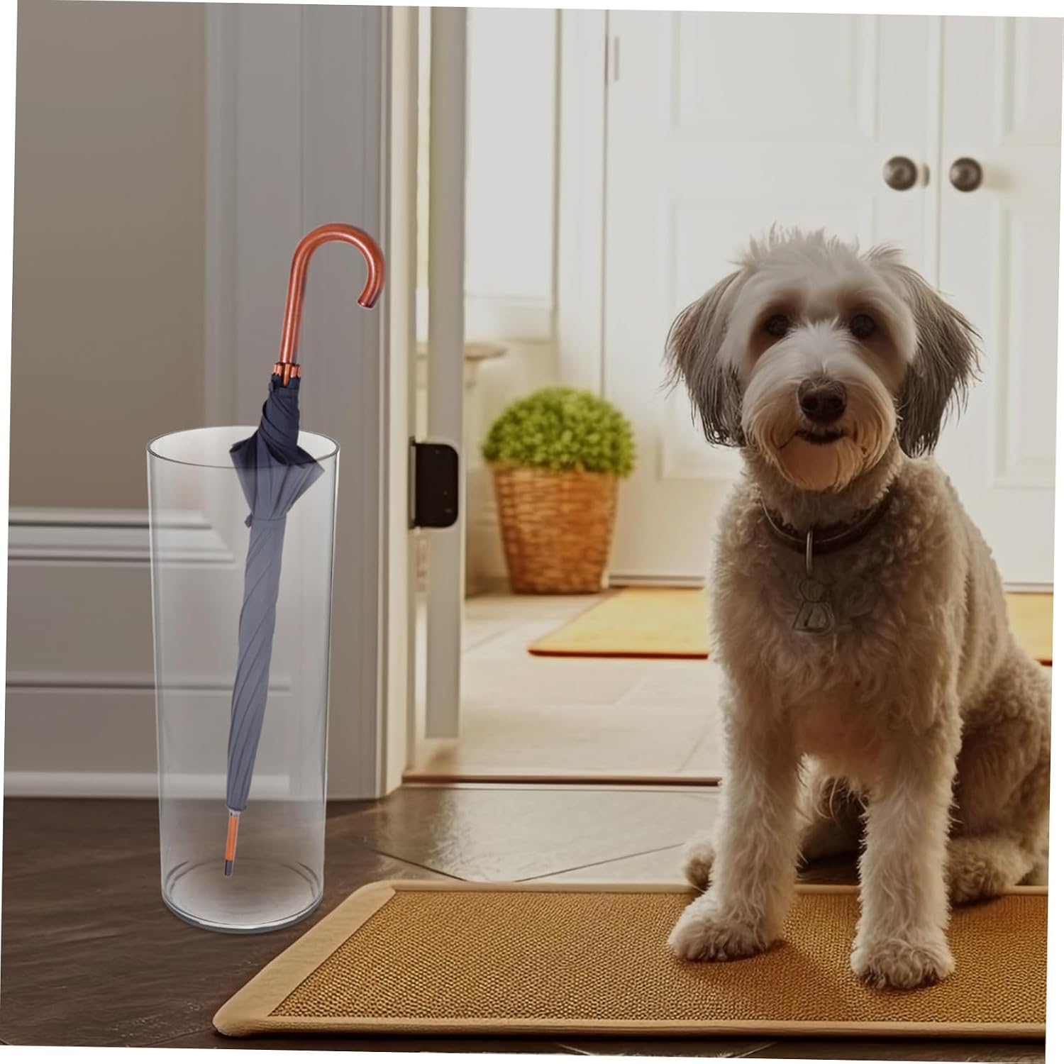 Clear Umbrella Storage Rack Transparent Pet Material Umbrella Holder for Entryway Stylish Home Decor Height