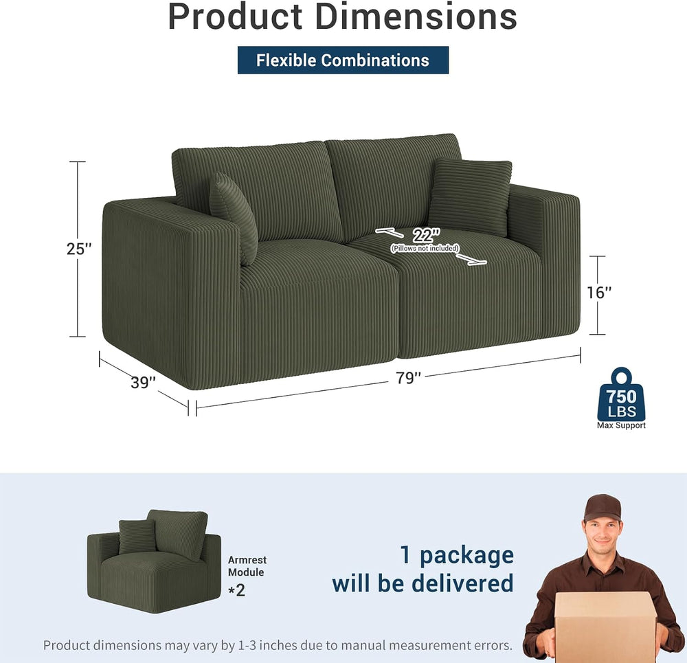 Modular Loveseat Couch Cloud Couches for Living Room - 79" Sofa - No Ass...