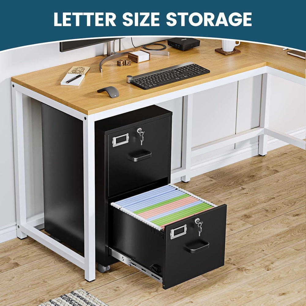 MIIIKO 2 Drawer File Cabinet with Lock, Vertical Metal Filing Cabinets for Ho...