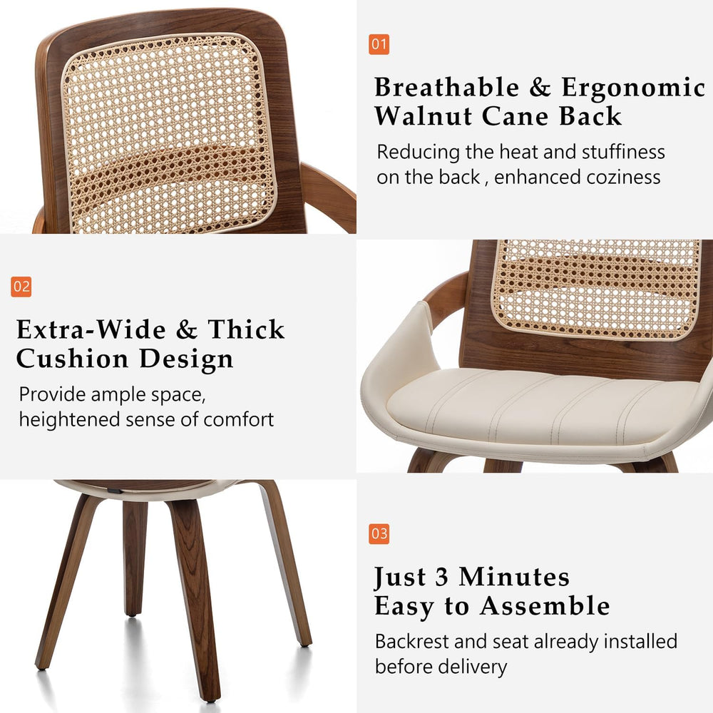 Cane Dining Chairs - Mid Century Modern Dining Chairs with Walnut Bentwood Fr...