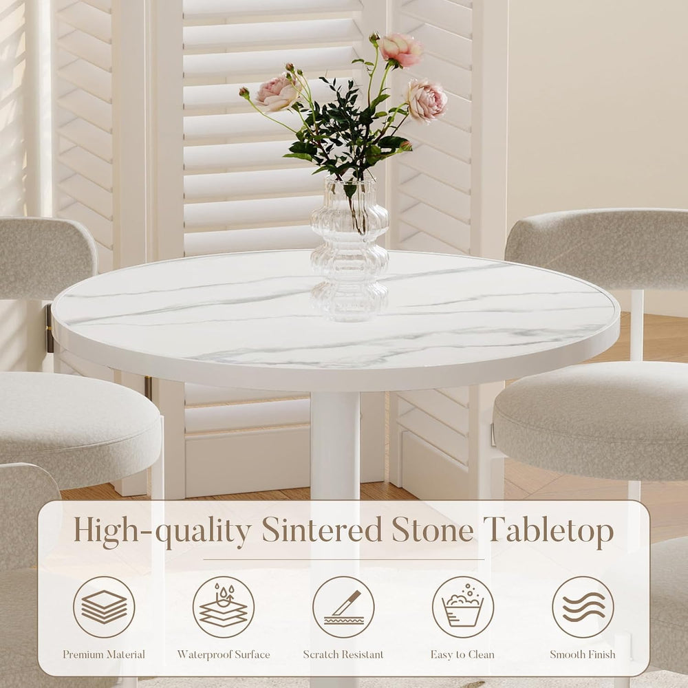 31.5'' Tulip Table, Round Pedestal Dining Table with Sintered Stone T...