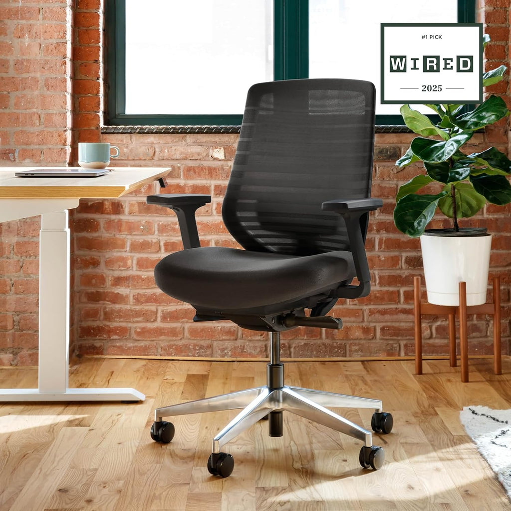 Branch Ergonomic Chair - A Versatile Desk Chair with Adjustable Lumbar Support, Breathable Mesh Backrest, and Smooth Wheels - Experience Optimal Comfort and Support - All Black