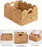 StorageWorks Scalloped Edge Wicker Basket, Hand-woven Rattan Baskets with Built-in Handles, Water Hyacinth Basket for Organizing and Decor, 2 Pack
