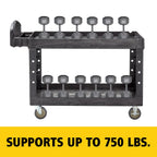 Rubbermaid Commercial Products BRUTE Heavy Duty 2-Shelf Utility/Service Cart, Medium, Lipped Shelves, Ergonomic Handle, 750 lb Capacity, Black, for Warehouse/Garage/Cleaning/Office