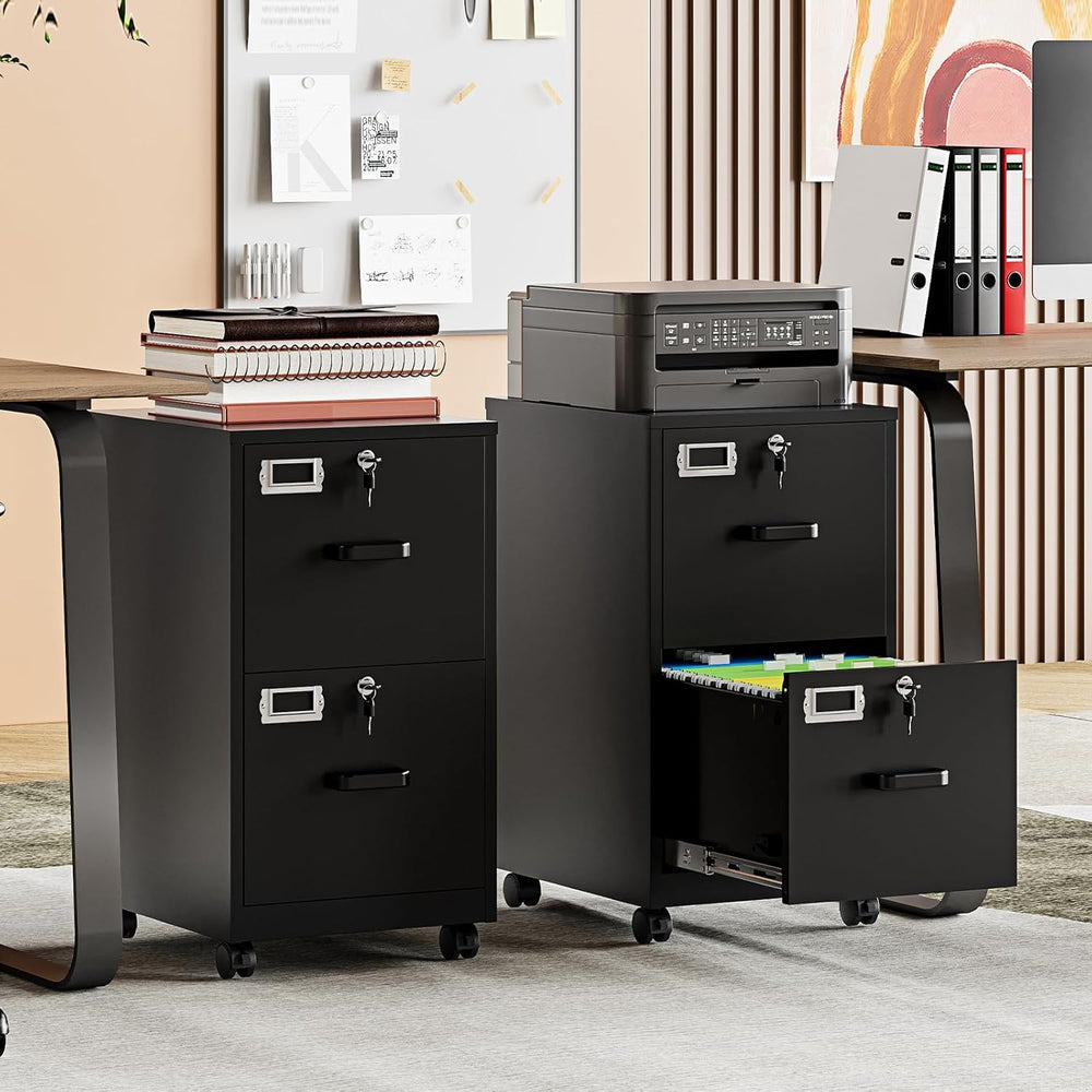 MIIIKO 2 Drawer File Cabinet with Lock, Vertical Metal Filing Cabinets for Ho...