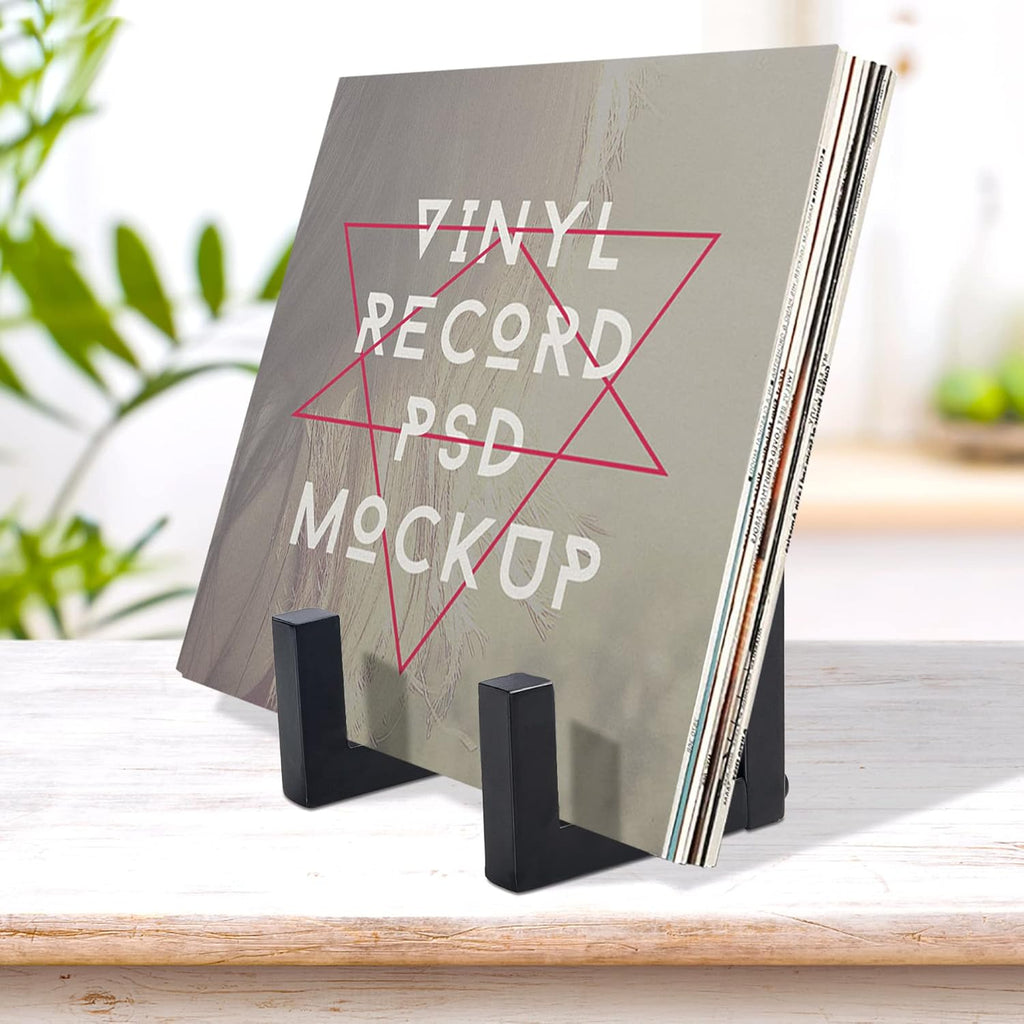 Vinyl Record Storage Holder, Black Lp Record Holder,Metal Album Storage for Vinyl Records